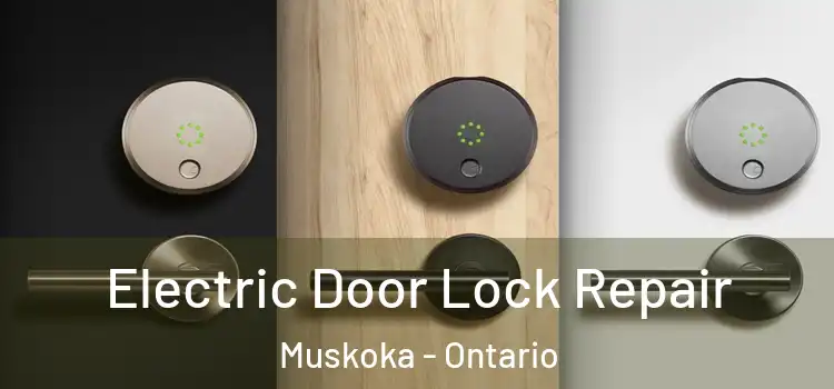 Electric Door Lock Repair Muskoka - Ontario