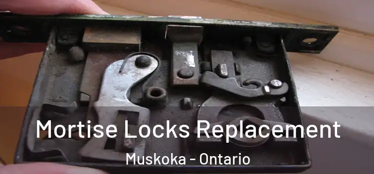 Mortise Locks Replacement Muskoka - Ontario